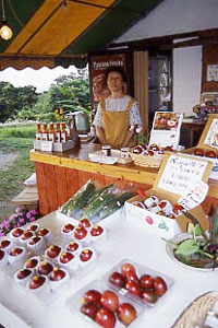 �Ί_���@�{�ǔ_���@�u�p�b�V�����t���[�c�W�����v